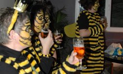 cabaret, Mi Cuit, carnival, spectacle